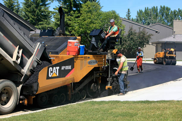 Best Local Driveway Pavers  in Flagstaff, AZ